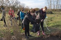 Boomplantdag 2023